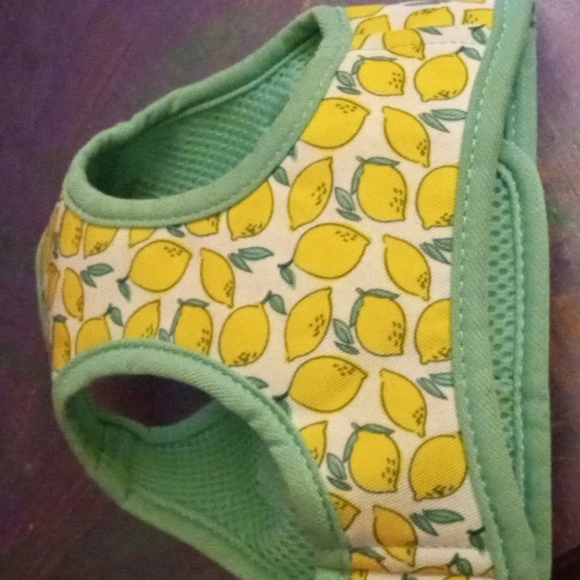 Harness - Picture 3 of 3